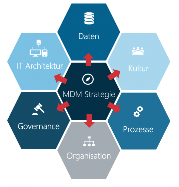 Darstellung der Master Data Management Strategie