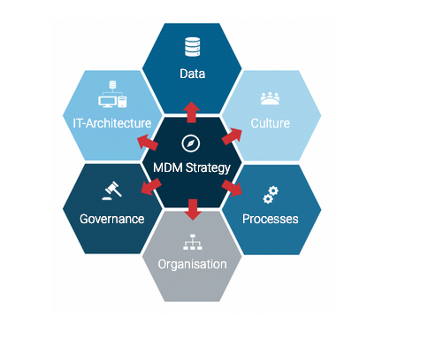 Übersicht Master Data Management Strategy
