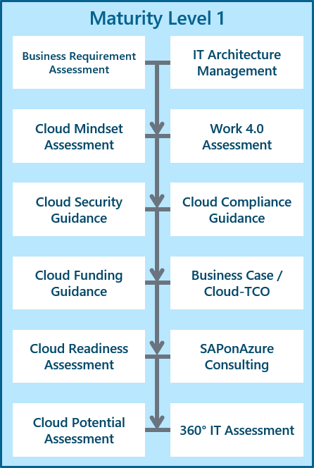 Darstellung der Maturity Level 1: Cloud Advisory der Scheer GmbH