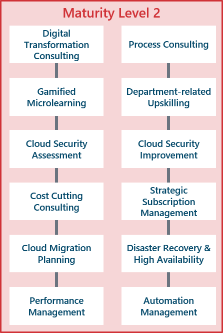 Darstellung der Maturity Level 2: Cloud Advisory der Scheer GmbH