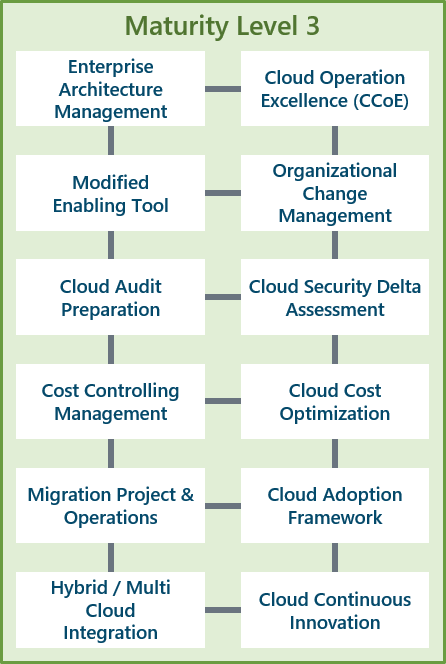 Darstellung der Maturity Level 3: Cloud Advisory der Scheer GmbH