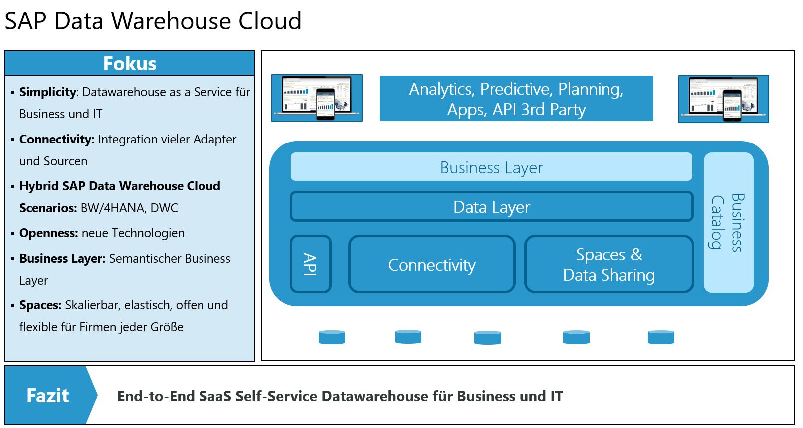 Darstellung des SAP Data Warehous
