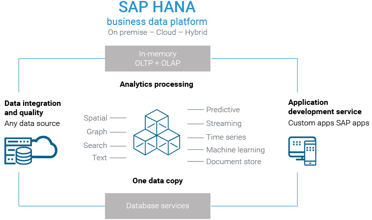 Darstellung der SAP HANA Business Data Platform