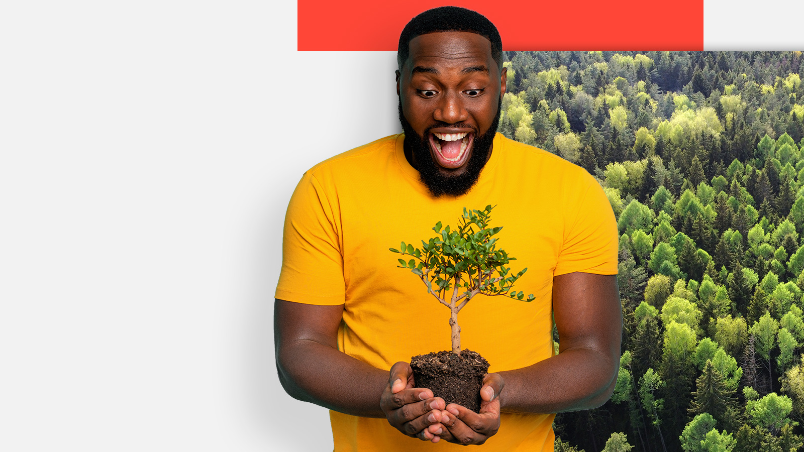 Ecological sustainability