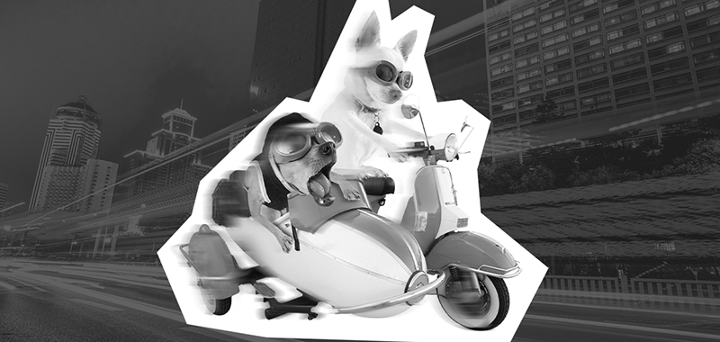 featured image Punk, rapid content